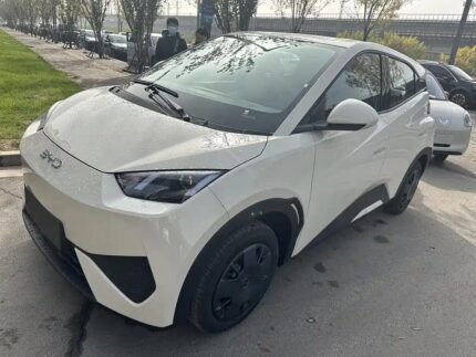 BYD Seagull Cost