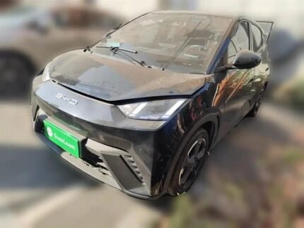 BYD Seagull Flying Edition 2023: Used EV Car China