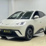 BYD Seagull for Sale