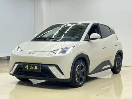 BYD Seagull for Sale