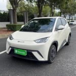 BYD Seagull India