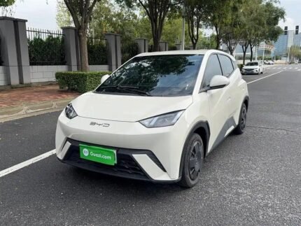 BYD Seagull India
