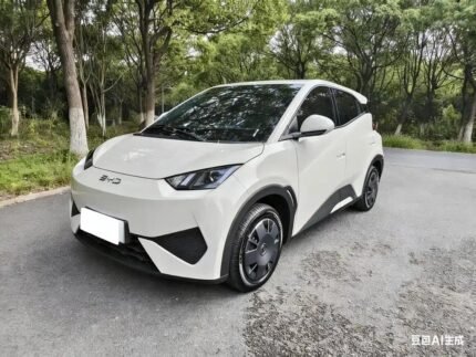 BYD Seagull Length 2025: Top Chinese EV Companies