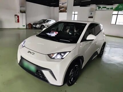 BYD Seagull Narxi