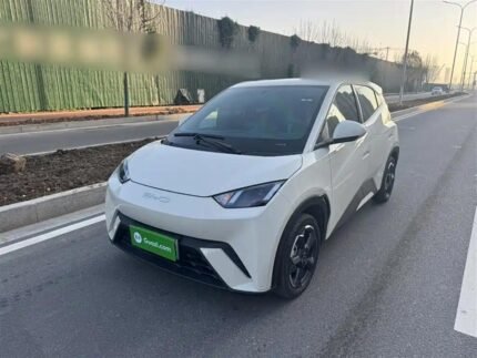 BYD Seagull NZ 2024: Biggest Chinese EV Companies