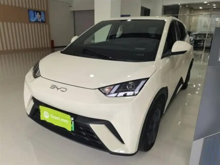 BYD Seagull Range