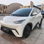 BYD Seagull Reddit 2025: Best Chinese EV Community
