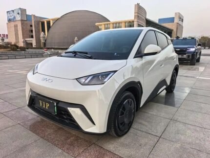BYD Seagull Reddit 2025: Best Chinese EV Community
