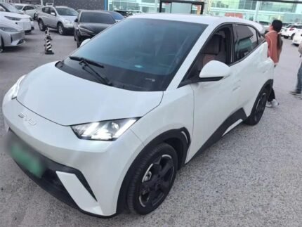 BYD Seagull Size 2024: China EV Used Car Compact