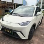 BYD Seagull Wiki 2024: Biggest Chinese EV Companies