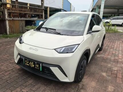 BYD Seagull Wiki 2024: Biggest Chinese EV Companies