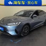 BYD Seal Lease 2024 Biggest Chinese EV Companies