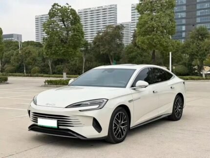 BYD Sealion 6 Review 2024 Buy Used EV China