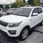 Changan Oshan CX70 2020: Best Chinese EV Companies