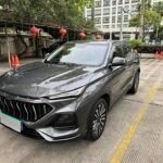Changan Oshan X5 300T