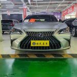 China Lexus ES 2023 Petrol - Global Sales