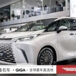 China Lexus LM 2024 4WD: Best Deals