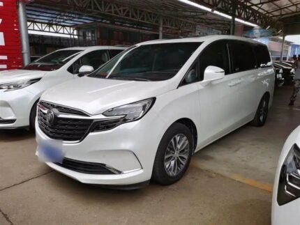 Comfortable Buick GL8 7 Seater 2021: Chinese Auto Manufacturer