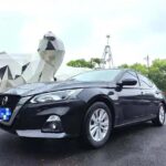 Confident Nissan Altima Drivers 2022 Biggest Chinese EV Companies