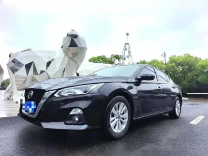 Confident Nissan Altima Drivers 2022 Biggest Chinese EV Companies