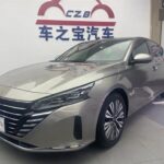 Connected 2022 Nissan Altima CarPlay - Top 10 Chinese EV Companies