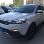 CS10 Car Utility: Biggest Used Car Dealer in China Network