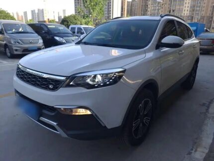 CS10 Car Utility: Biggest Used Car Dealer in China Network
