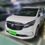Cultural Buick GL8 in Chinese Style with Second Hand Cars in China