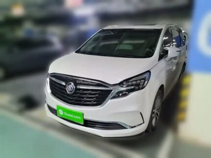 Cultural Buick GL8 in Chinese Style with Second Hand Cars in China