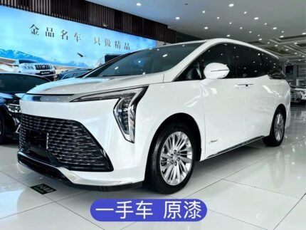 Custom 2023 Buick Century - Used Car Parts for Sale in China