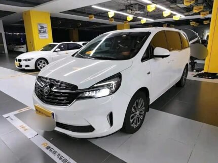 Customized Buick GL8 Malaysia in New Chinese EV Context