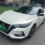 Customized Nissan Sylphy Accessories - Top 10 Chinese EV Companies
