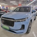 Decorative Pier One Li Bien Ornaments LI ONE: Best Chinese EV Companies