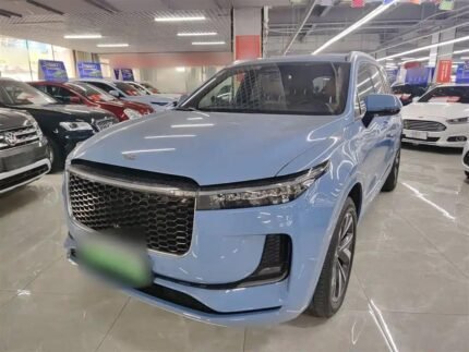 Decorative Pier One Li Bien Ornaments LI ONE: Best Chinese EV Companies
