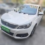 Diagnostic Port Peugeot 308 - Top Chinese EV Car Companies