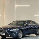 Difference Between Lexus ES and GS: Top 10 Chinese Automobile Companies
