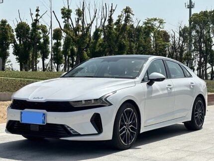 Discover Kia K5 2022 Export Options