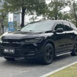 Drive2 Honda Breeze 2021 Best Chinese EV Companies Drive