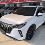 Dynamic 2022 Trumpchi GS4 Plus - Top 10 Chinese EV Companies Export