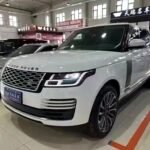 Easy Land Rover Range Rover Oil Change: Best Chinese EV Companies