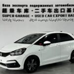 Economical 2022 Honda Fit Gas Mileage - Biggest Chinese EV Companies Efficiency