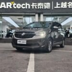 Efficient Buick GL8 Fuel Consumption in Chinese Car EV Era