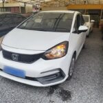 Efficient Honda Fit Battery 2021 in Best Chinese EV Cars Category