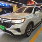 Efficient P5R MAX Rank Without Romance Roewe RX5 MAX 2021: Top 3 Chinese EV Companies