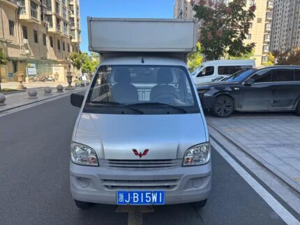 Efficient Wuling Zhiguang Truck - New Chinese EV Car