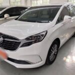 Elegant Buick GL8 Century Interior 2021: Chinese Car Lot Deals