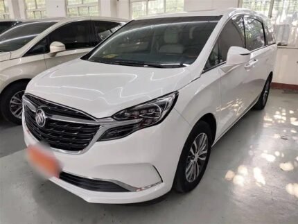 Elegant Buick GL8 Century Interior 2021: Chinese Car Lot Deals