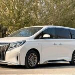Elite GAC Trumpchi M8 Master 2022 with Used Car Dealers in China Network