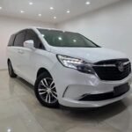 Export Buick GL8 in USA Specs vs Best Chinese EV Cars