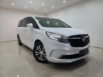 Export Buick GL8 in USA Specs vs Best Chinese EV Cars